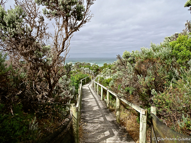 Walk to ocean, Nelson, Victoria