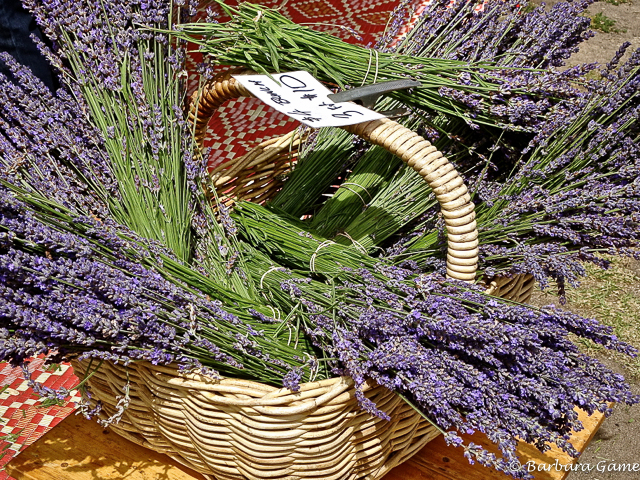 Lavender at a country market