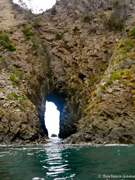 Clefts and caves, Bruny Island cruise  2017 