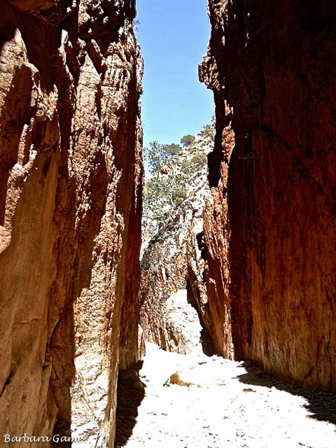 Standley Chasm, cleft in rocks, best seen at midday.