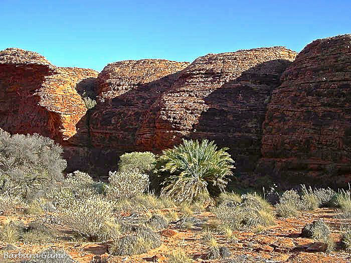 Kings Canyon Rim Walk, beehive rock formations