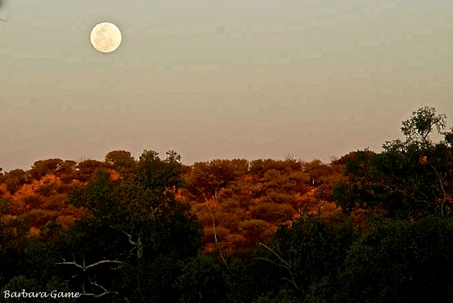 Moonrise over the ranges