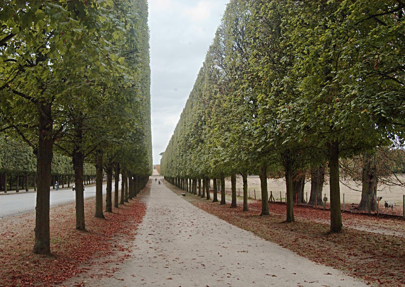 versailles DSC_1542.jpg