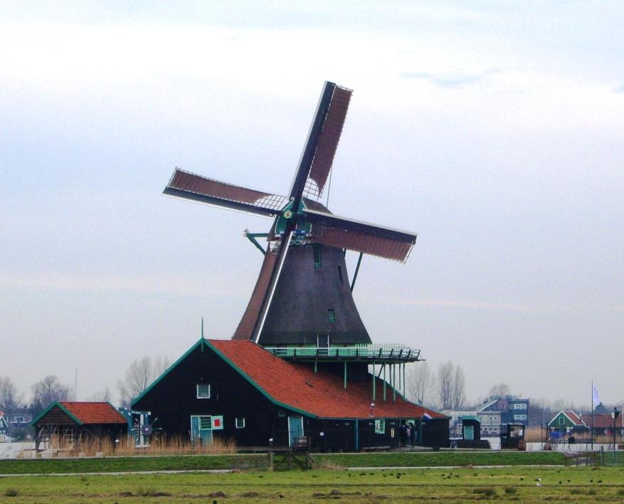 S1030799.JPG