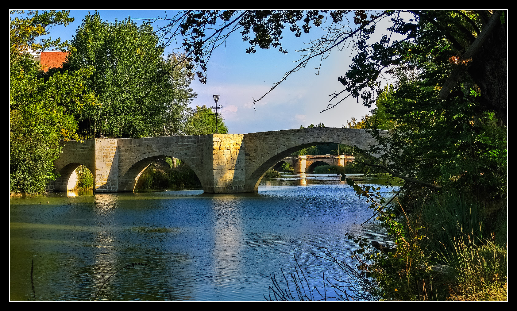 Palencia