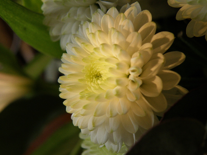 20090520.JPG