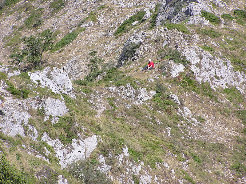 20090205.JPG