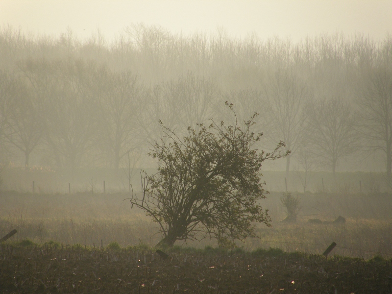 20080417.JPG