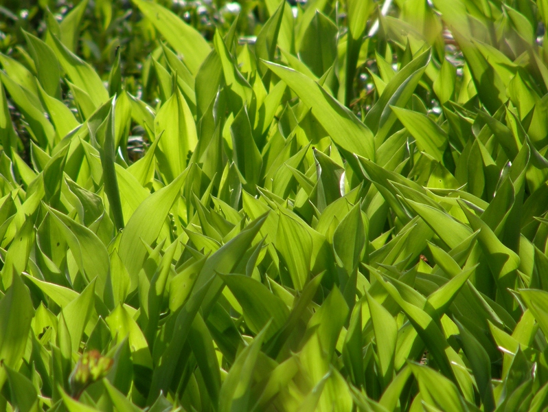 20080426.JPG