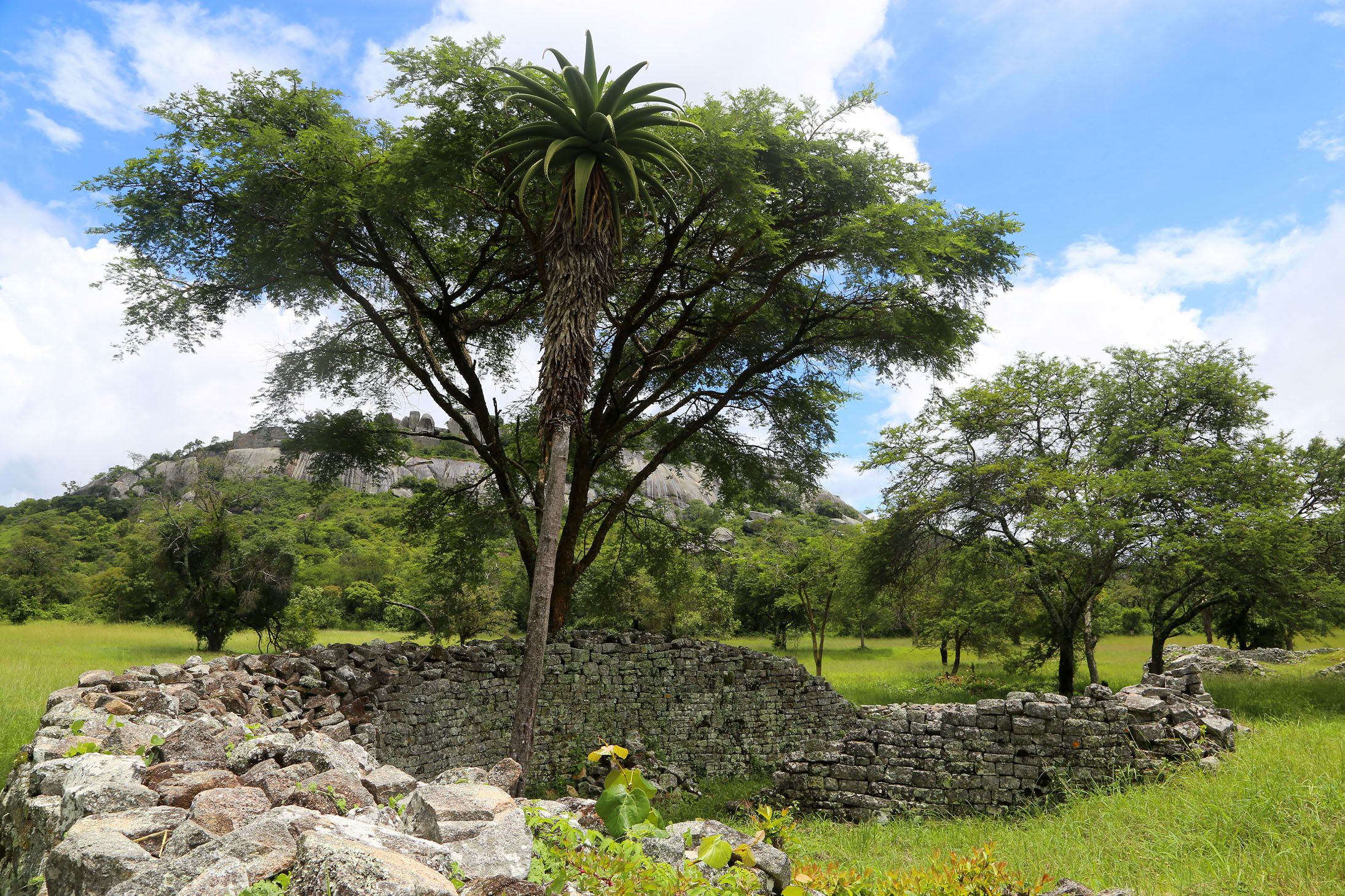 Great Zimbabwe Ruins