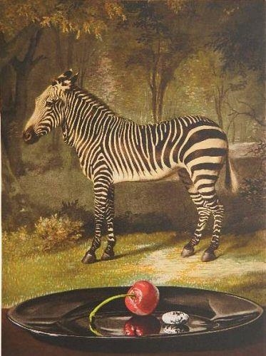 Zebra with Cherry.jpg