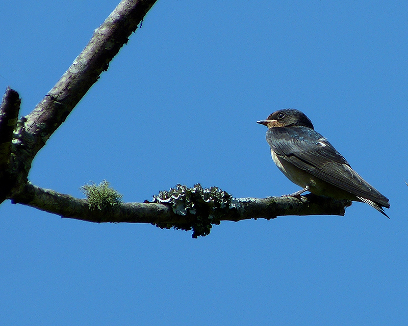 P1070330.jpg