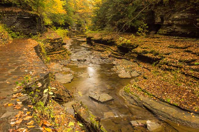WATKINS GLEN 8 NY.jpg