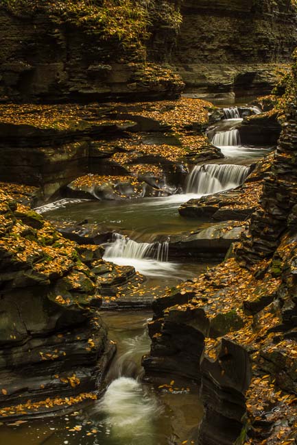 WATKINS GLEN 7 NY.jpg