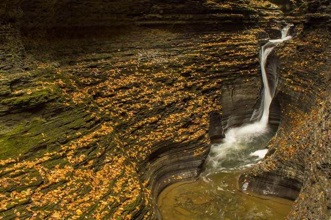 WATKINS GLEN 6 NY.jpg
