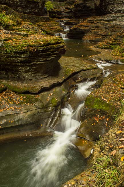 WATKINS GLEN 4 NY.jpg
