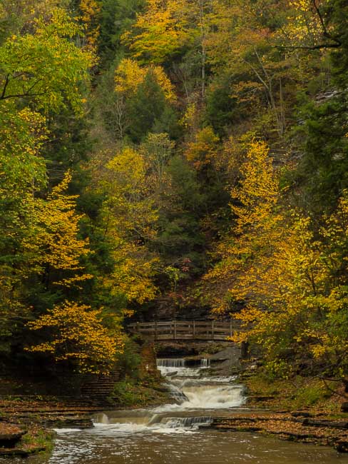 STONY BROOK STATE PARK DANSVILLE NY.jpg
