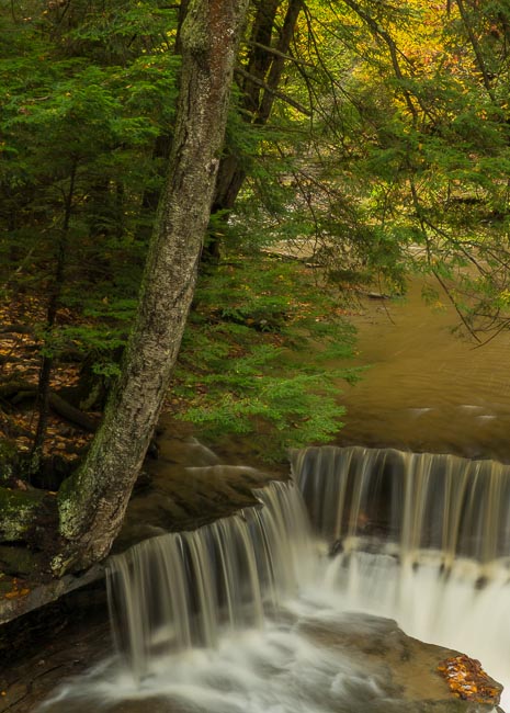 STONY BROOK STATE PARK DANSVILLE NY 2.jpg