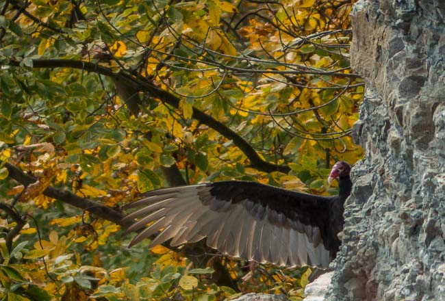 LETCHWORTH STATE PARK -HES OVER THERE.-.jpg