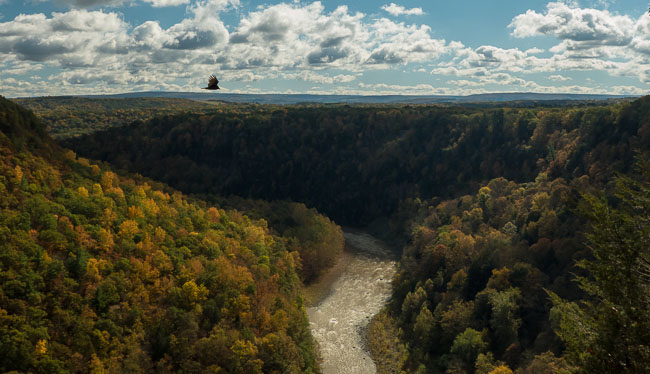 LETCHWORTH STATE PARK GORGE VIEW.jpg