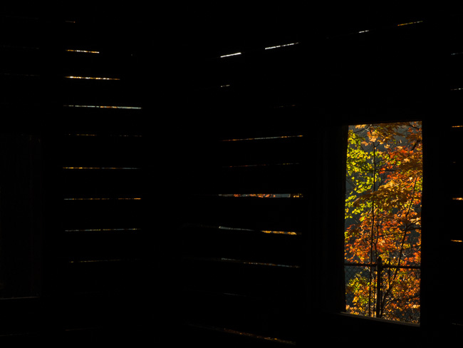 LETCHWORTH CABIN WINDOW.jpg