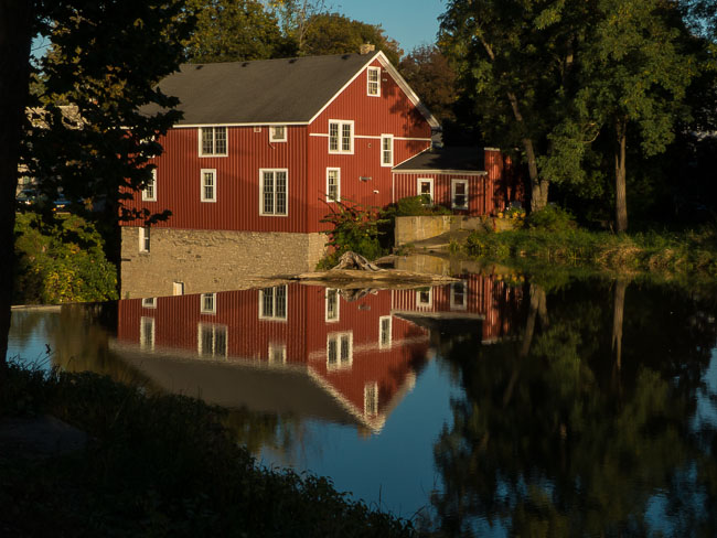 HONEOYE REFLECTION.jpg