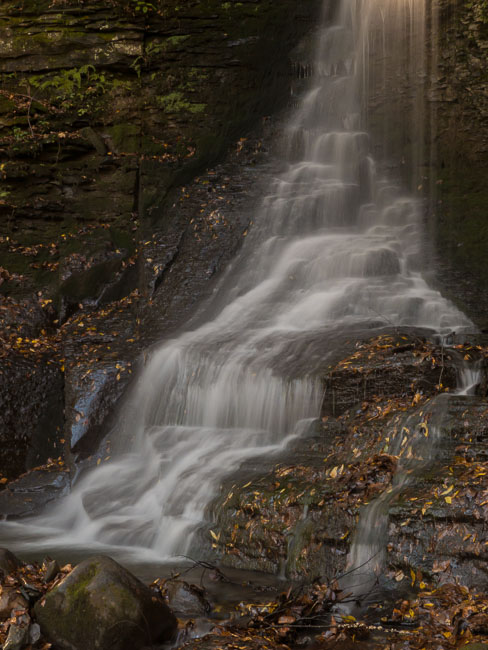 fall_2013