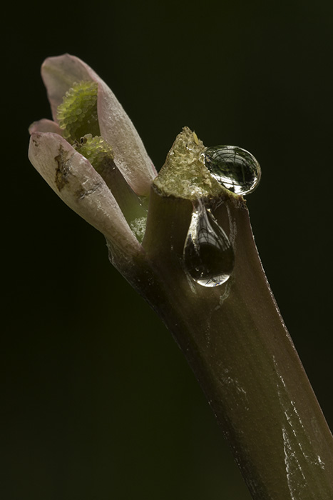 _DSC8055-Edit.jpg