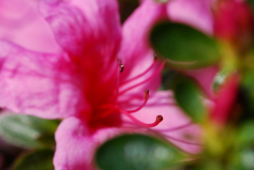 DSC_9992kl.JPG