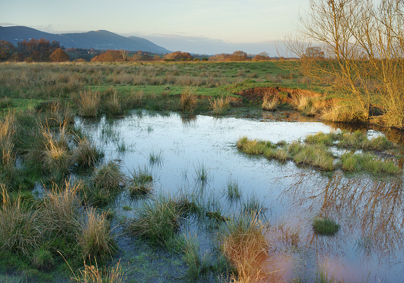 Castlemorton Common