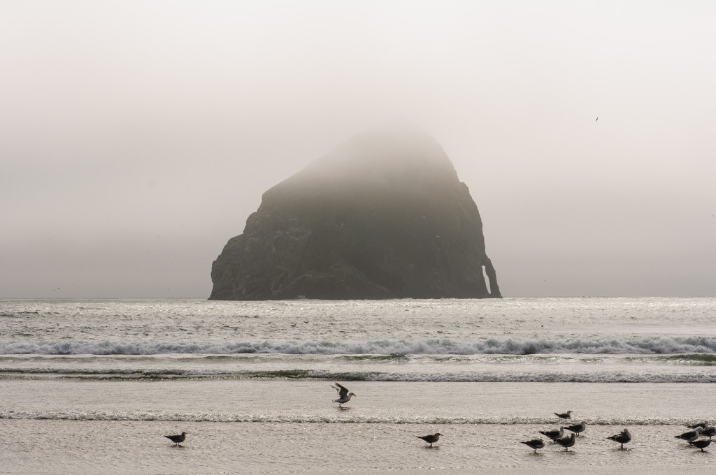 Cape Kiwanda SP 