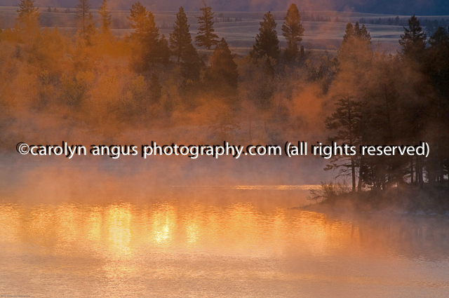 Morning_Lake_Mists5292.jpg