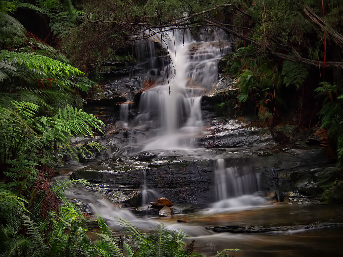 First Leura Cascade w.jpg