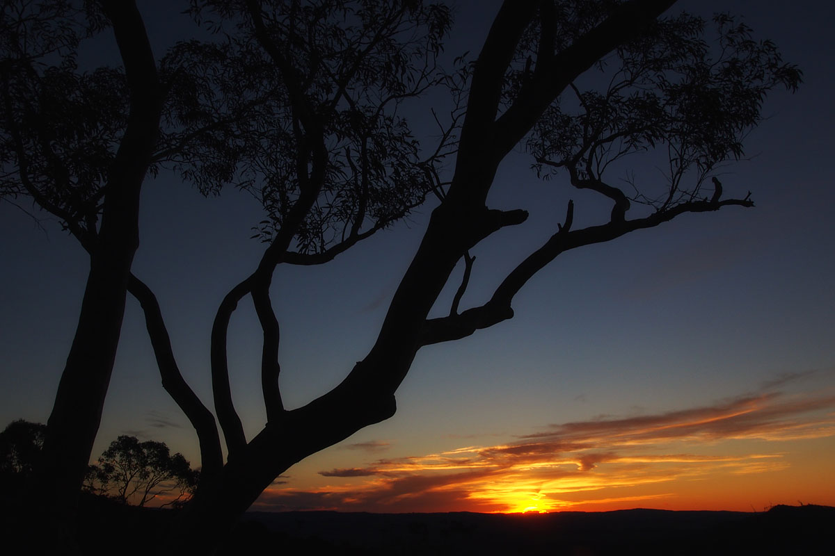 Shipley Sunset 4w.jpg