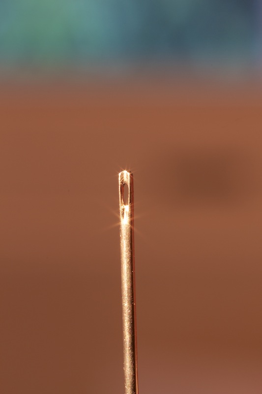 Needles eye 1x
