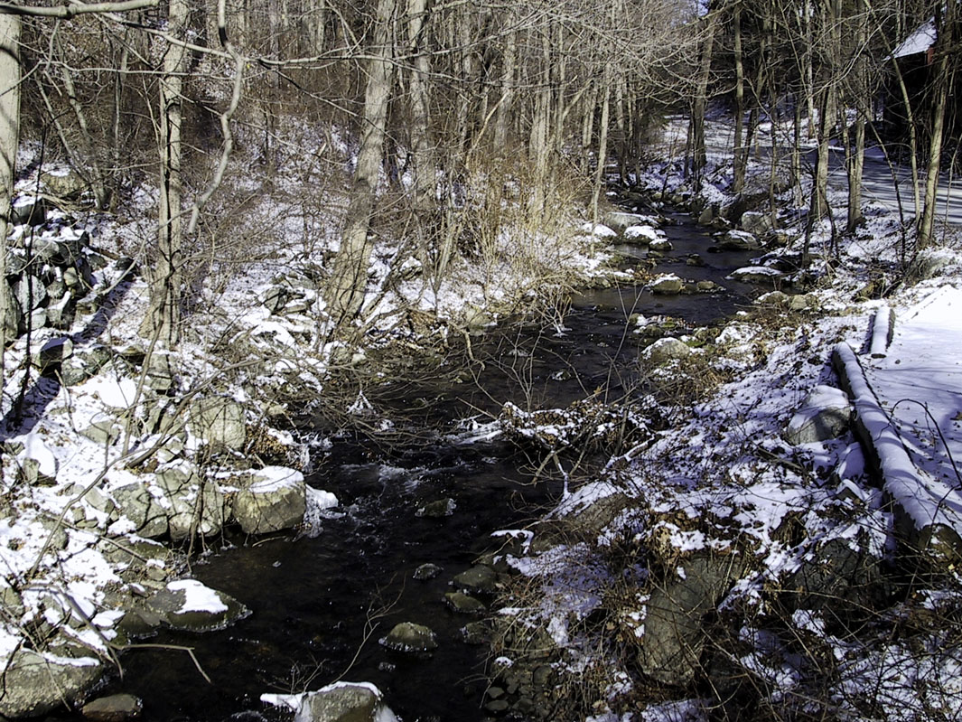 Stream