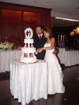Album Samples Wedding