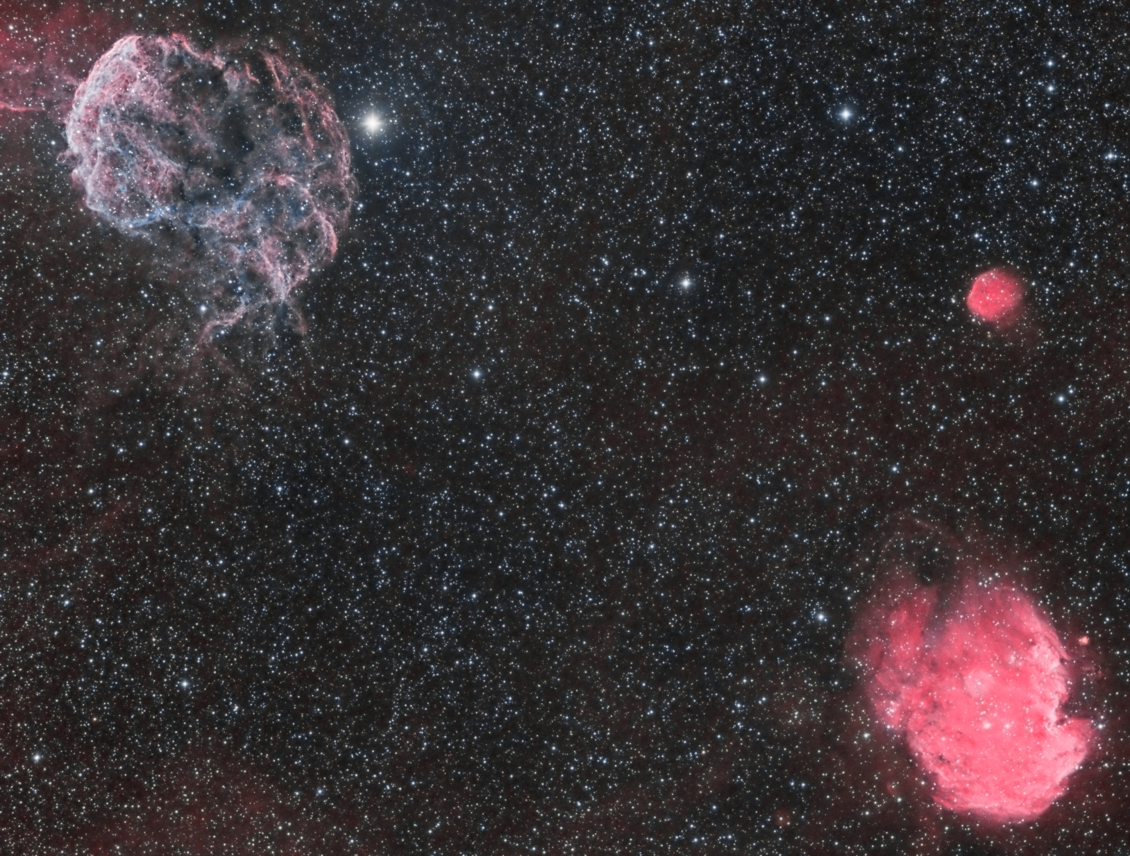 Hybrid, Bi-Color Monkey Head & Jellyfish Nebula