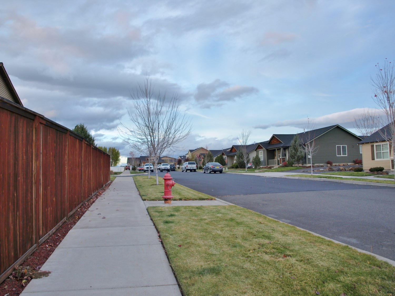 side fence