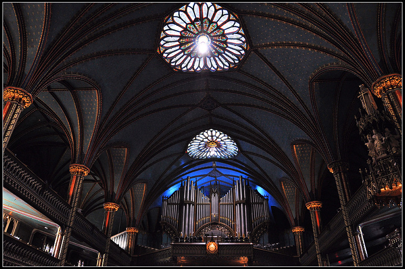 DSC_1017_1.jpg