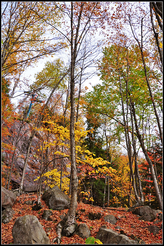 DSC_0844_1.jpg
