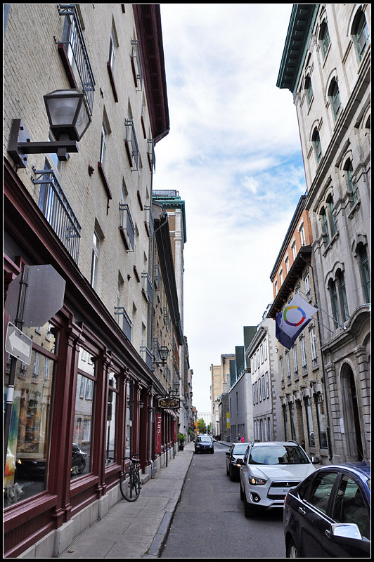 DSC_0274_1.jpg
