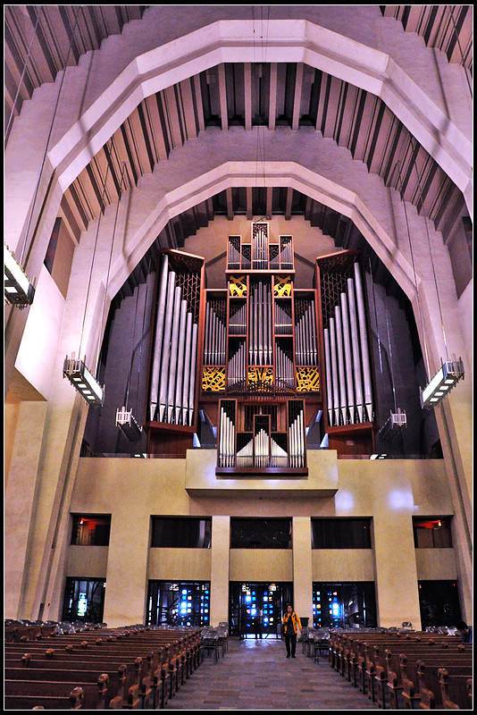 DSC_1371_1.jpg