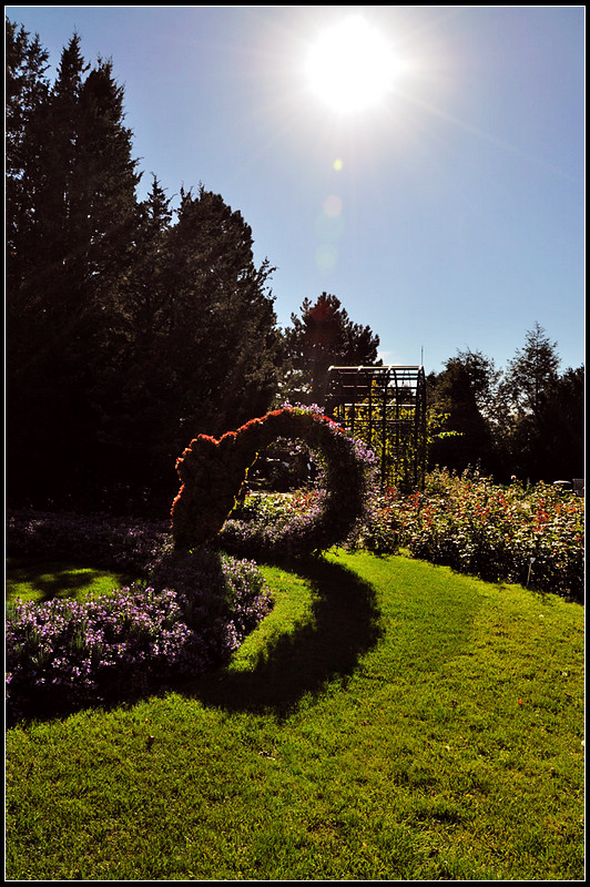 DSC_1777_1.jpg