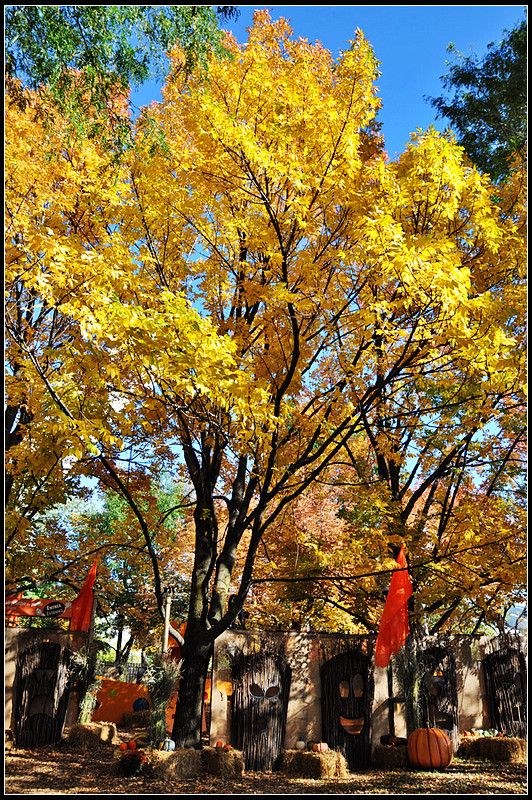 DSC_1786_1.jpg