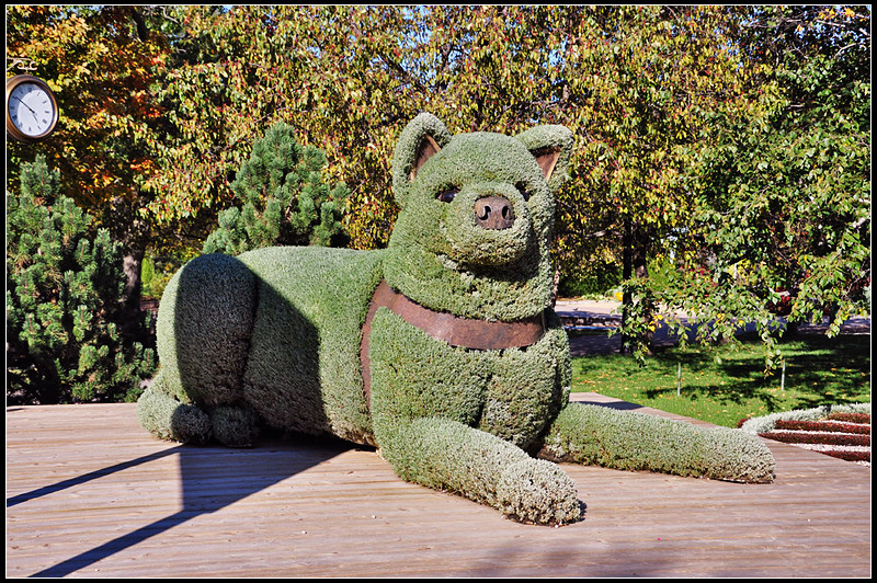 DSC_1852_1.jpg