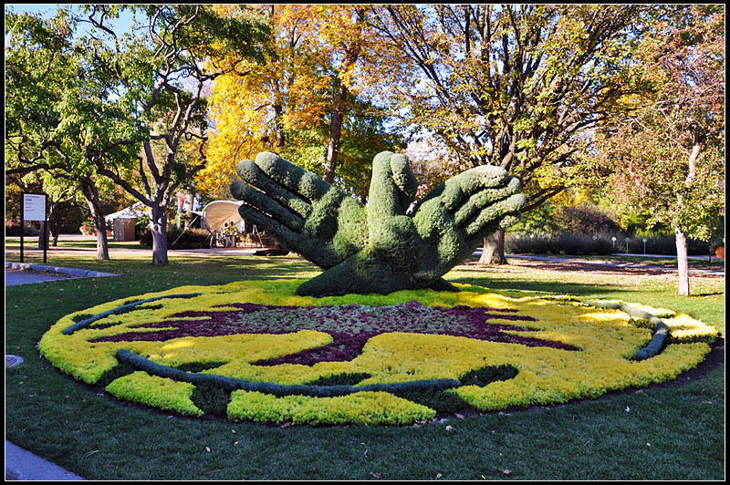 DSC_1859_1.jpg