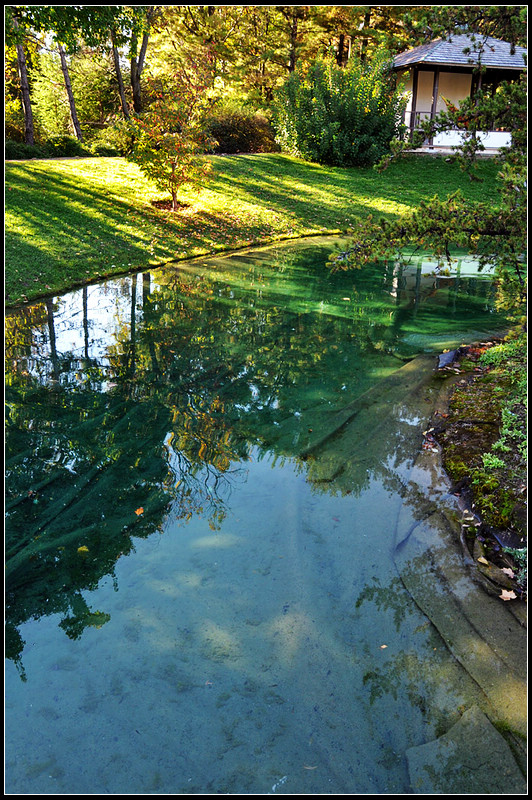 DSC_1897_1.jpg