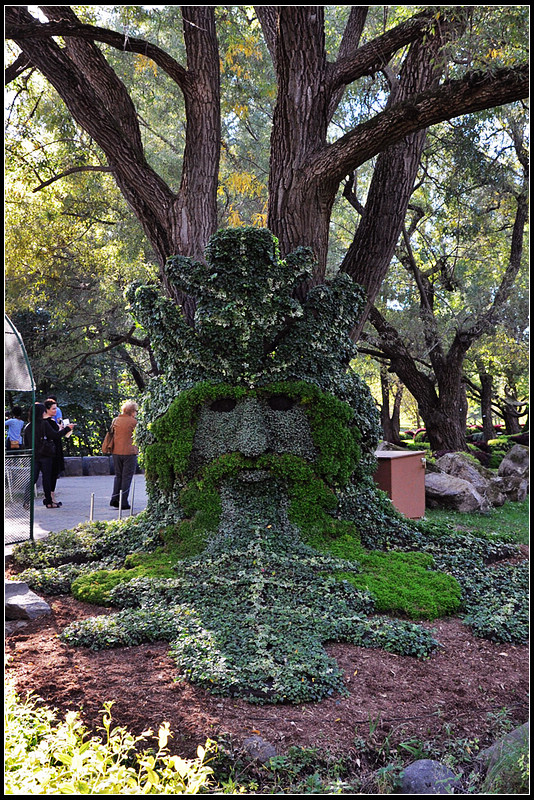 DSC_1922_1.jpg