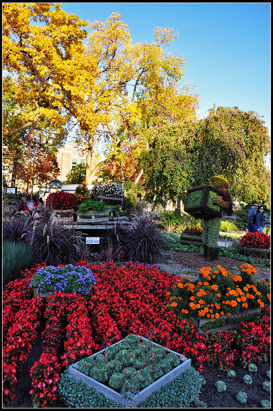 DSC_2090_1.jpg